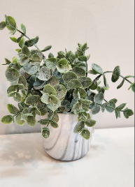 EUCALYPTUS IN MARBLE PLANTER