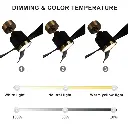 BLACK AND GOLD CEILING FAN WITH REMOTE CONTROL AND LIGHT KIT