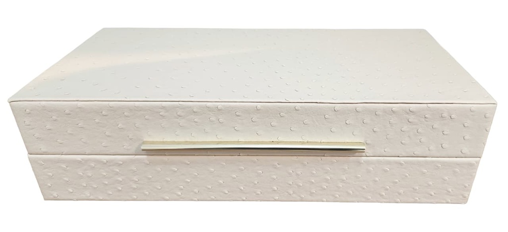 BEIGE LEATHER DOTTED TEXTURED BOX (SM) 