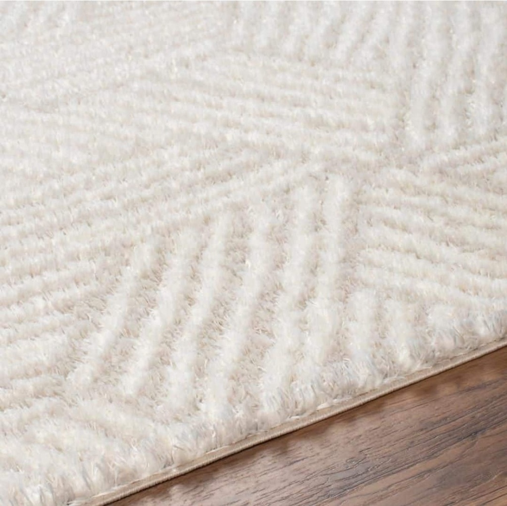 6.7 x 9 Becki Owens Cloudy Striped Pattern Area Rug 