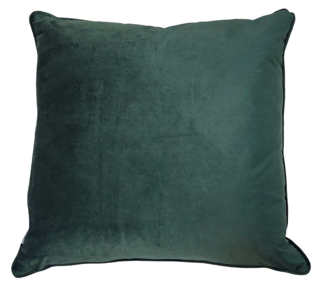 Emerald Green Velvet Pillow 