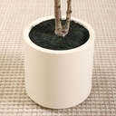 7FT Faux Olive Tree in Ivory Planter 