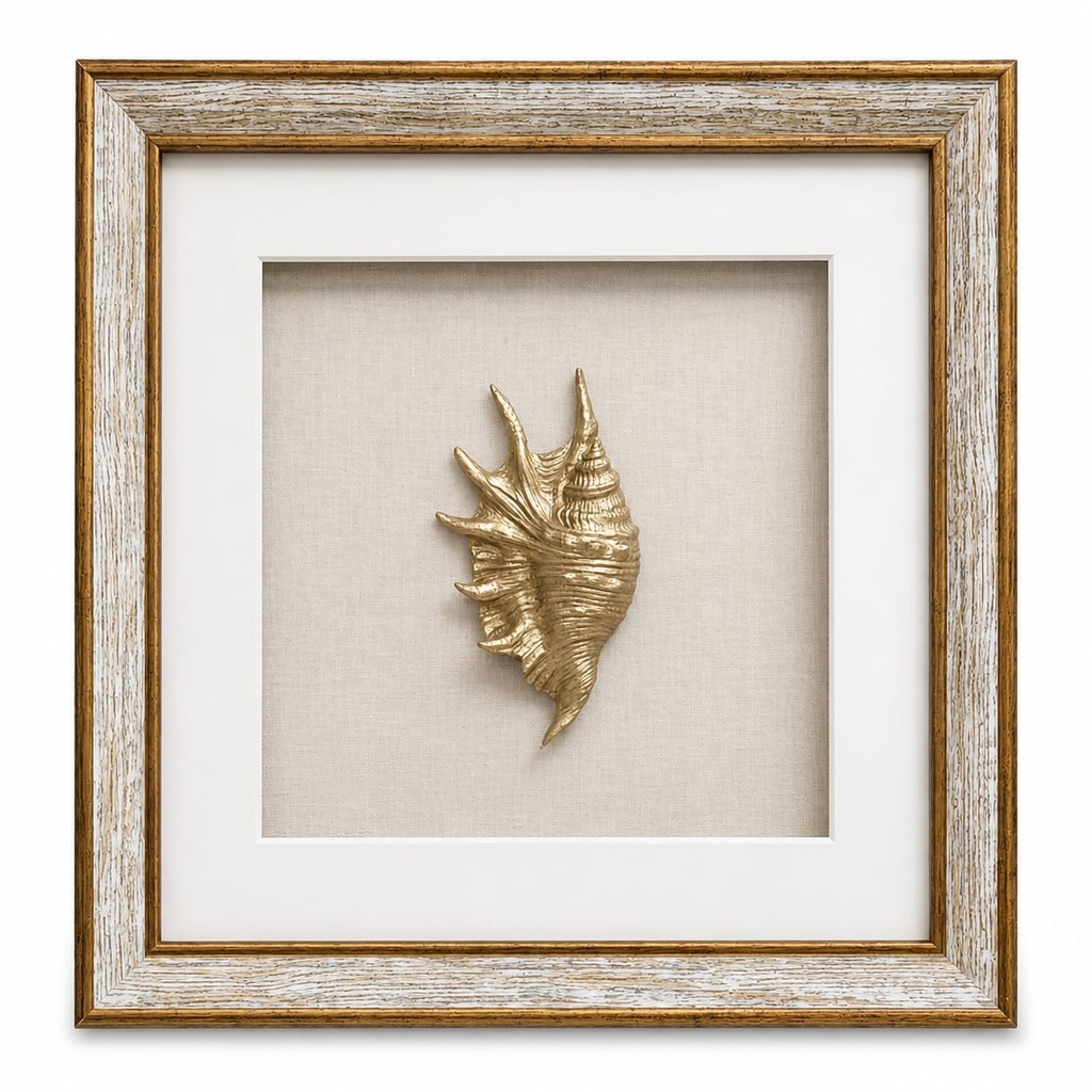 GOLD CORAL IV