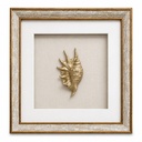 GOLD CORAL IV