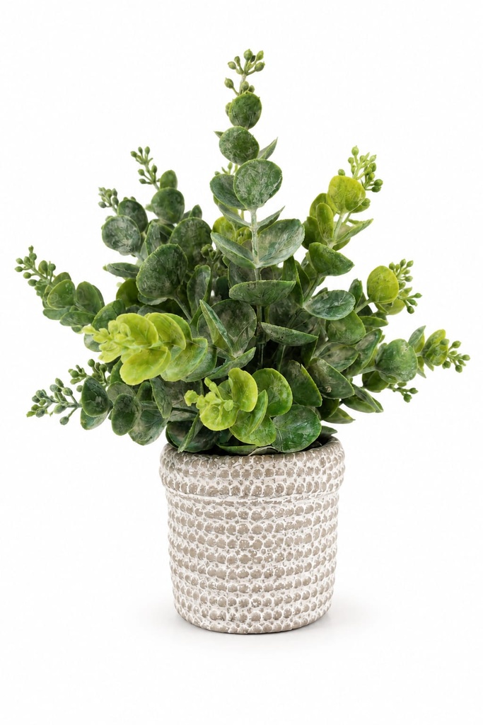 Eucalyptus in Artisan 
Grey Glazed Stone