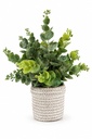 Eucalyptus in Artisan 
Grey Glazed Stone