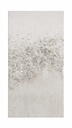 Plantinum Dust 3D Wallart 