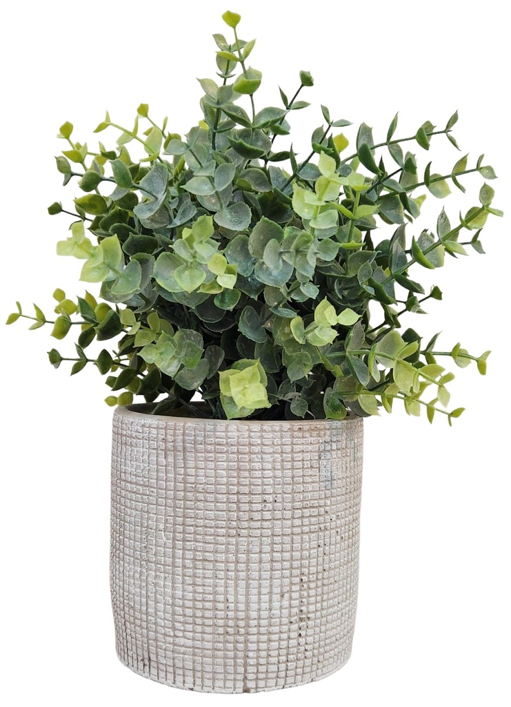 Faux Eucalyptus In Stamped Pot  