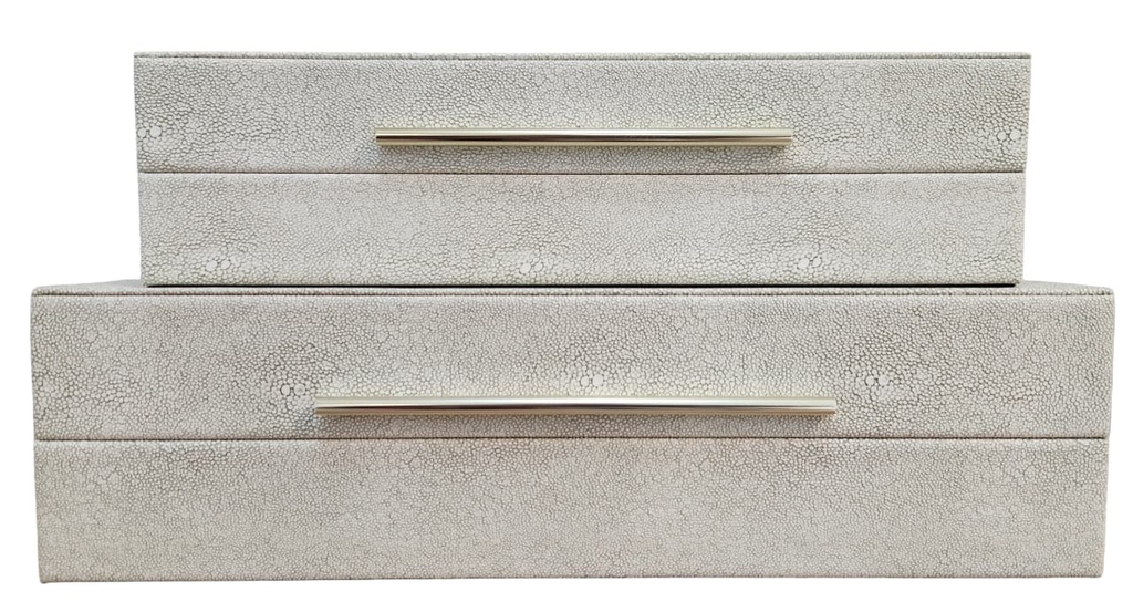 SNAKE SKIN DECOR BOX W/ GOLD DETAIL (LG)