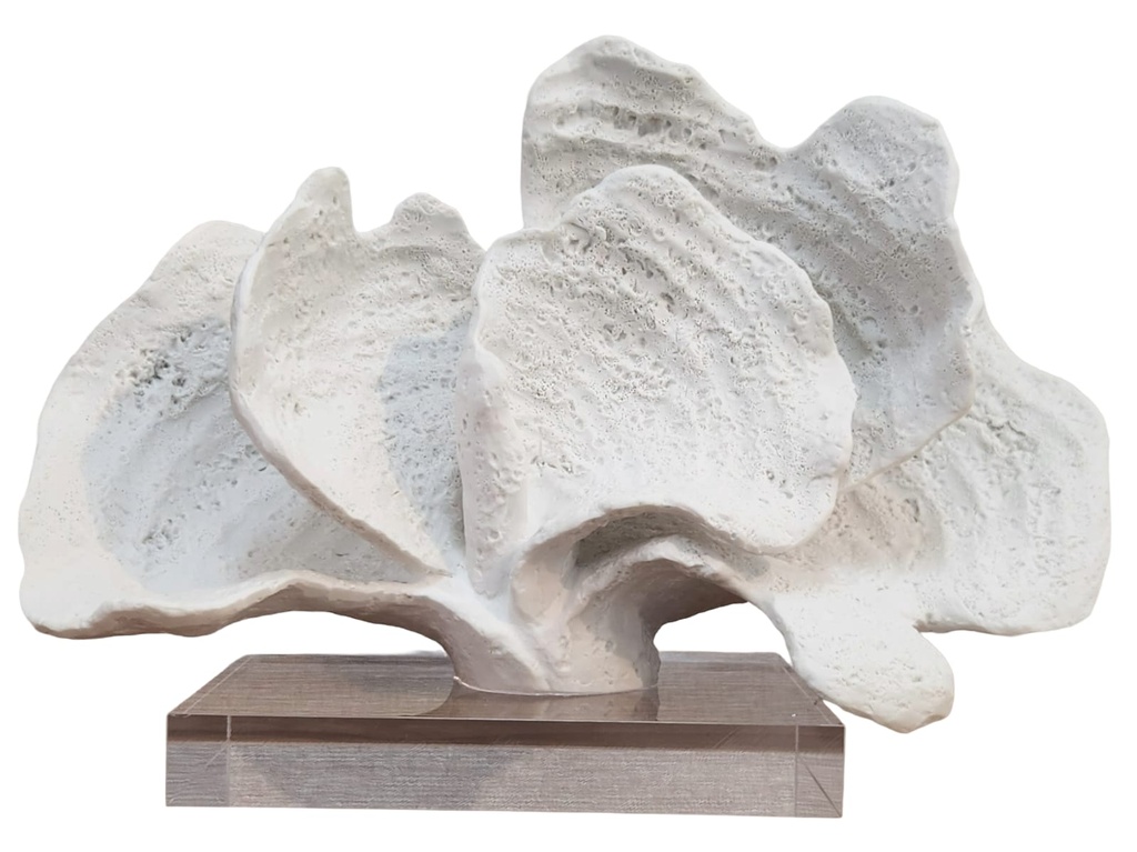 10.5" White Coral on Acrylic Base 