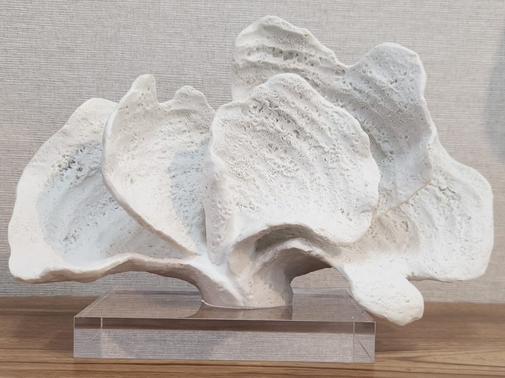 10.5" White Coral on Acrylic Base 