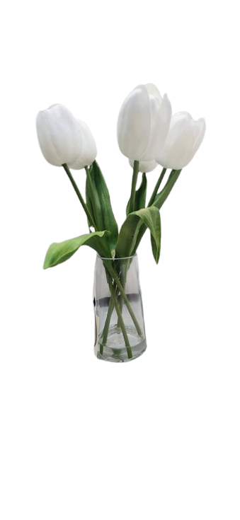 Tulip in Glass Vase