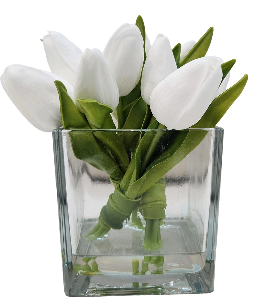 Tulip in Glass Square Pot 