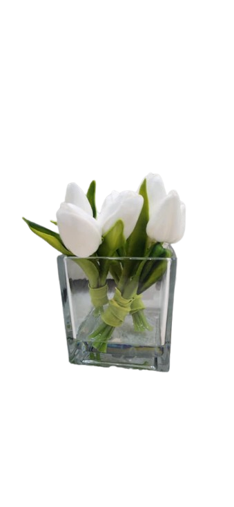 Tulip in Glass Square Pot 