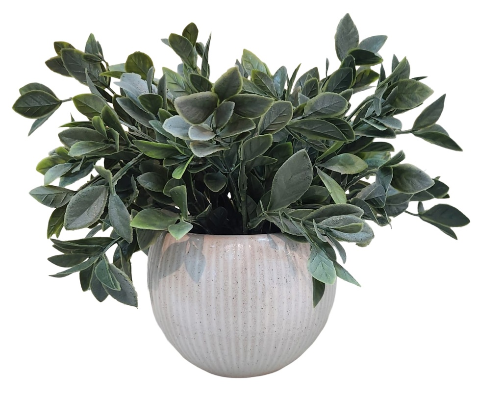 Eucalyptus in Round Ceramic Beige Pot 