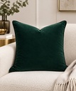 Emerald Green Velvet Pillow 