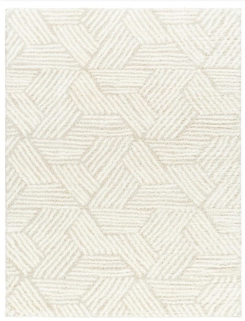6.7 x 9 Becki Owens Cloudy Striped Pattern Area Rug 