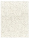 6.7 x 9 Becki Owens Cloudy Striped Pattern Area Rug 
