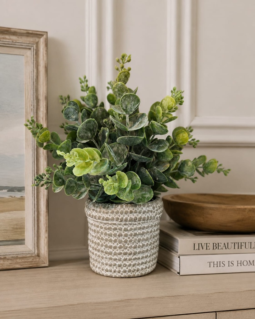 Eucalyptus in Artisan 
Grey Glazed Stone