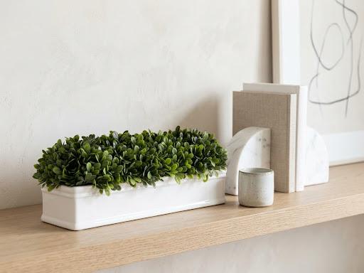 Boxwood in White Trough Lg