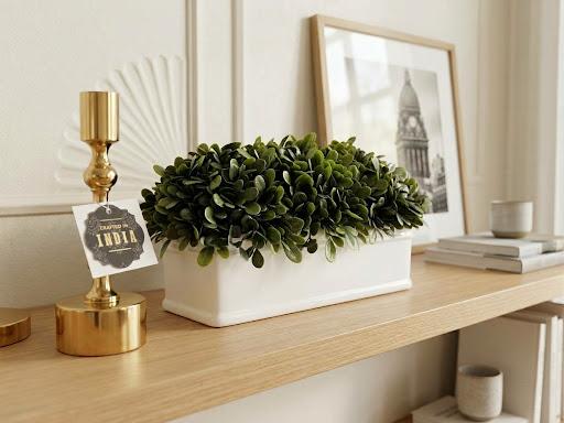 Boxwood in White Trough Sm