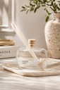 Hidden Oasis Stone & Shells Diffuser 