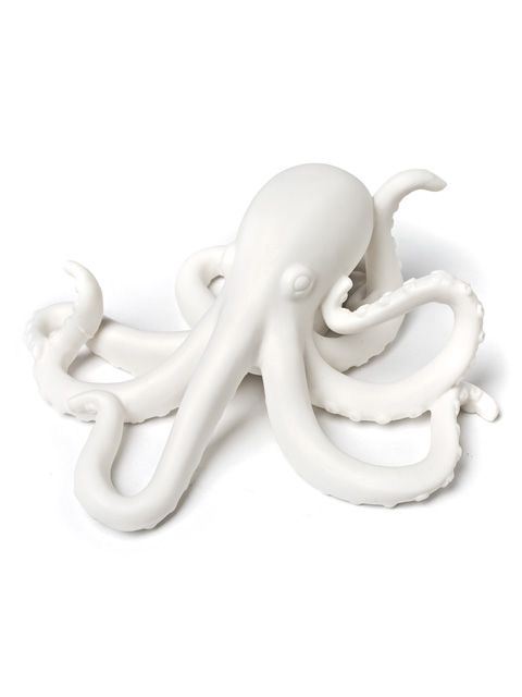 WHITE OCTOPUS