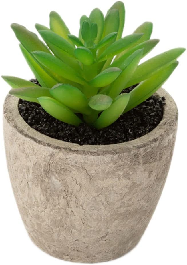 FAUX SUCCULENT III