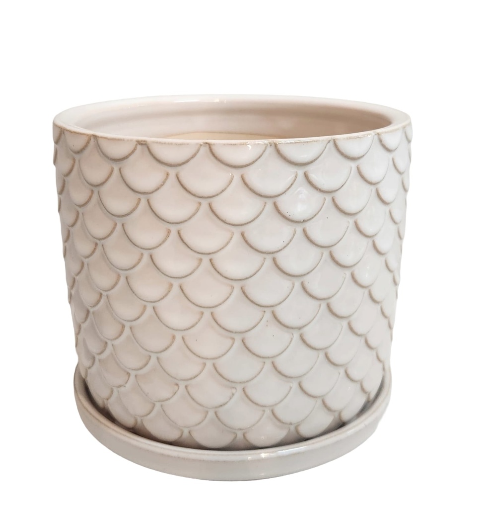 6" SCALY CERAMIC PLANTER