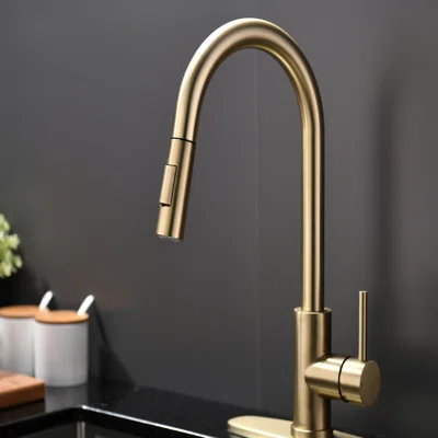 PULL DOWN KITCHEN FAUCET - GOLD