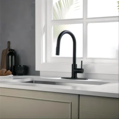 PULL DOWN SINGLE HANDLE FAUCET - MATTE BLACK