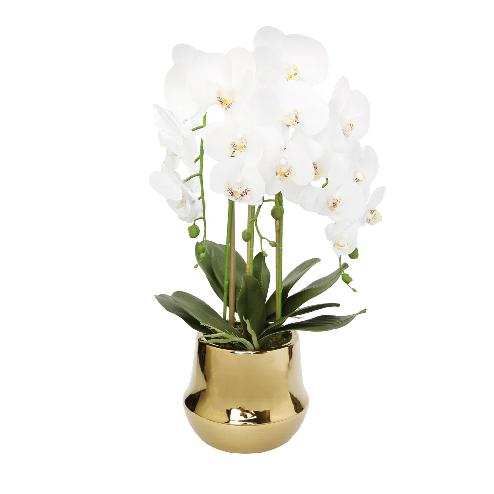 21X14" ORCHID IN GOLD VASE