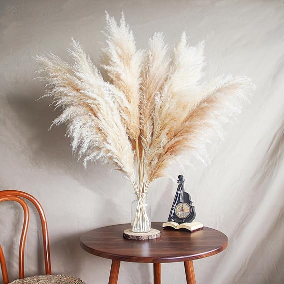  DECORATIVE PAMPAS