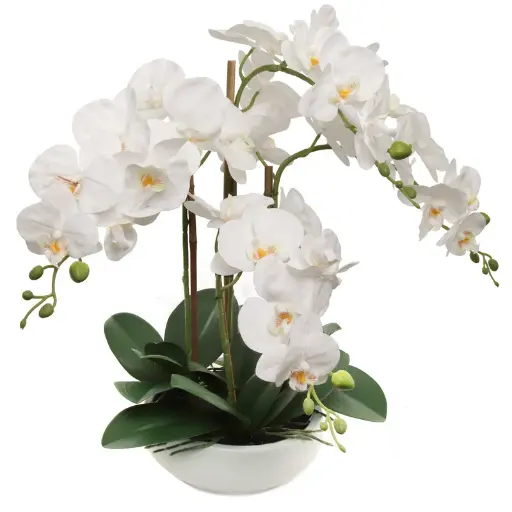 [DL01793] 20" White Phalaenopsis Orchid In Round White Pot