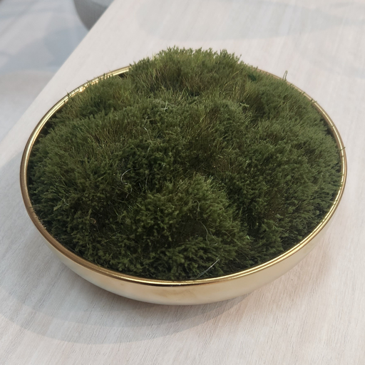 [DL01920] Faux Moss in Gold Bowl  