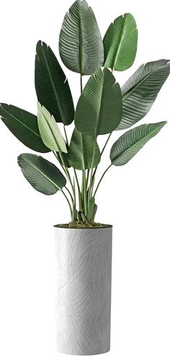 [DL02071] 67"Faux Bird of Paradise in White Planter 