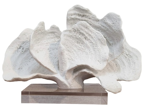 [DL02219] 10.5" White Coral on Acrylic Base 