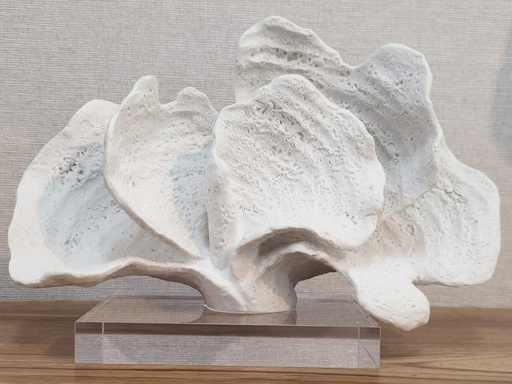[DL02219] 10.5" White Coral on Acrylic Base 