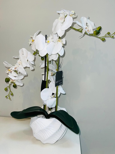 [DL02286] 20" White Swirl Pot Orchid  