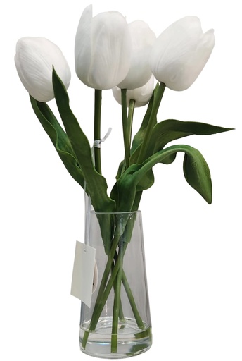 [DL02499] Tulip in Glass Vase