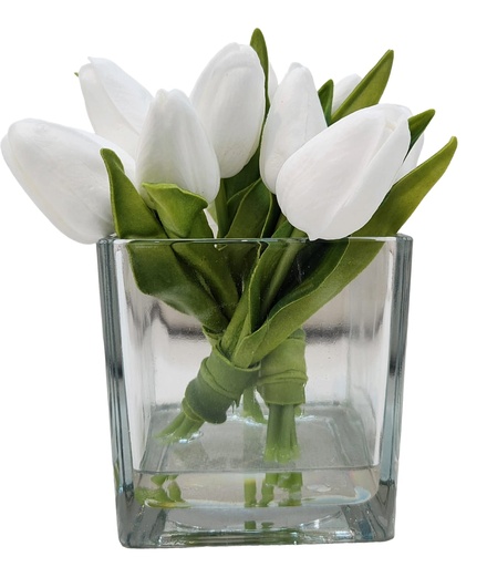 [DL02500] Tulip in Glass Square Pot 