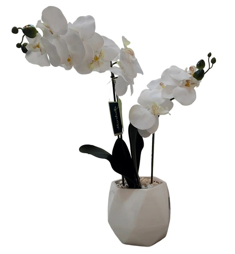 [DL02501] Orchid in White Geometric Pot 