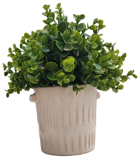 [DL02509] Eucalyptus Plant in Ceramic Handled Pot