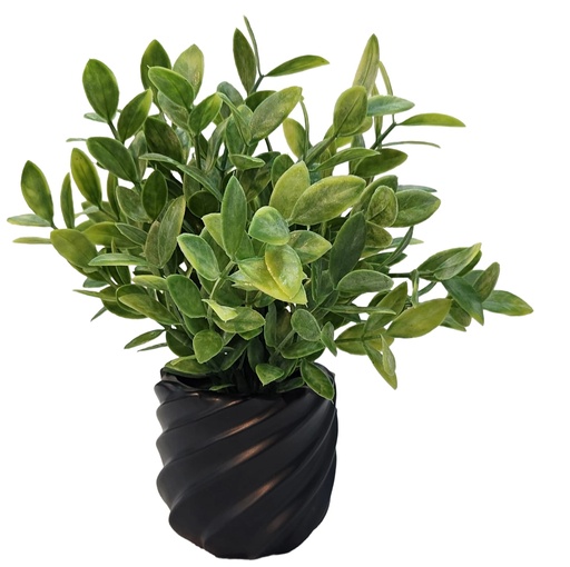 [DL02511] Small Eucalyptus in Black Swirled Pot 