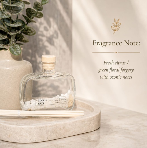 [DL02820] Hidden Oasis Stone & Shells Diffuser 