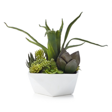 [DL00222] FAUX SUCCULENT IN WHITE VASE