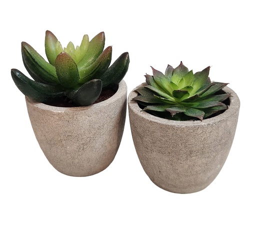 [DL00408] COITAK ARTIFICIAL SUCCULENT POTTED PLANTS