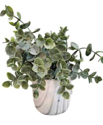 [DL00414] EUCALYPTUS IN MARBLE PLANTER