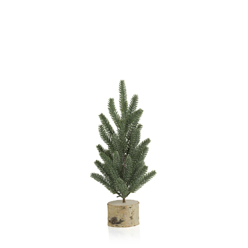 [DL00162] FROSTED CYPRESS TREE ON BIRCH BASE