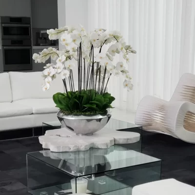 [DL01064] 30X24" ORCHID ARRANGEMENT IN PLANTER - SILVER POT